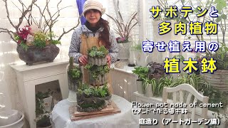 多肉植物とサボテンの寄せ植えとオリジナル手作りの植木鉢作り/Cacti and succulents/私の庭造り