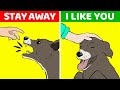 Why Dogs Bark At Some Strangers But Not Others (And 9 Other Curious Dog Behaviors Explained)