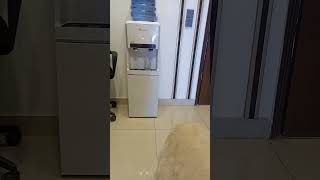 VID 20230612 145801