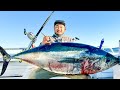 Pursuit of the bay area bluefin tuna