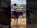 Vlog up on YouTube now! #horses #equestrianjourney #equestrian #equestrain #horsegirl #horserider
