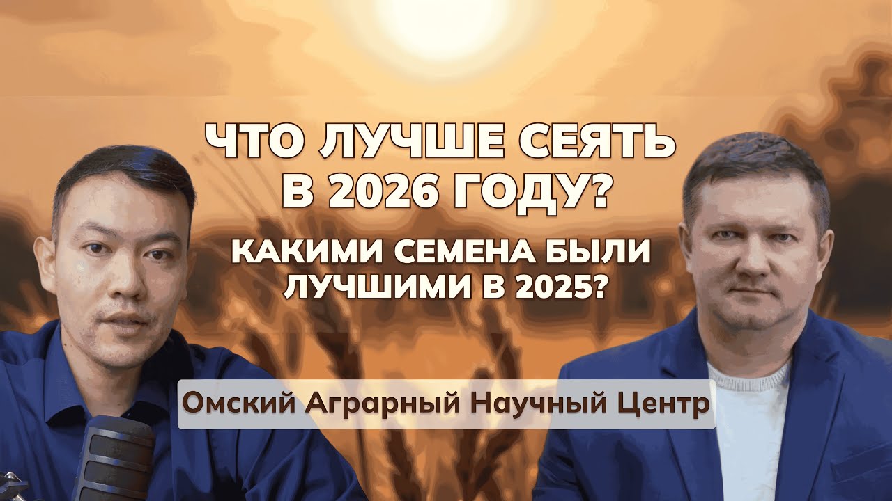 50 ц/га в Казахстане, реально ли?  Секреты селекции и технологий #фермер #сельскоехозяйство