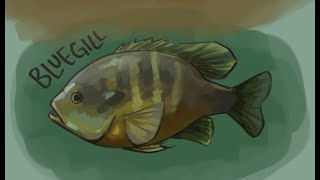there are many benefits to being a marine biologist (fish study speedpaint)