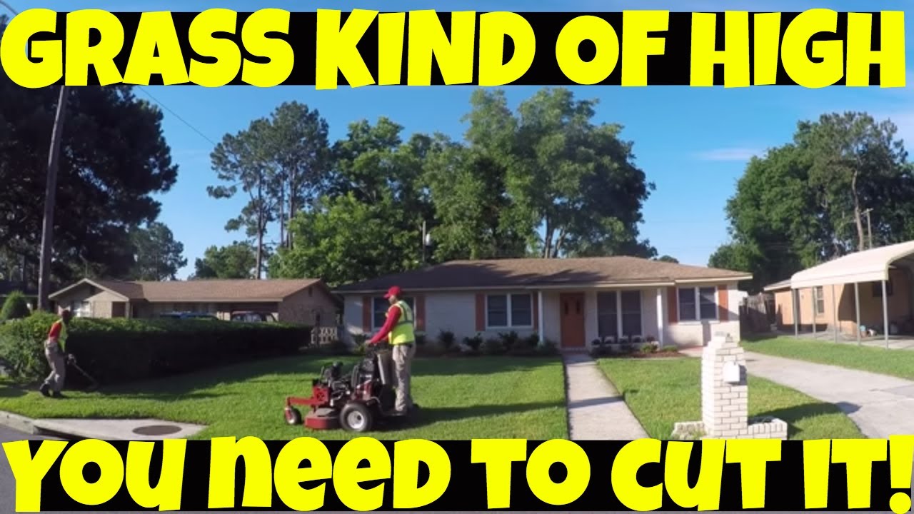 You need to cut it! by Blades of Grass Lawn Care - YouTube