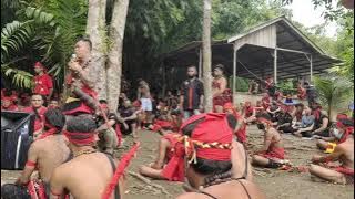 Important Message from Pangalangok Jilah (PJ) for the Government and the Dayak Traditional Community