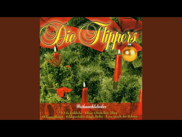 Die Flippers - Am Weihnachtsbaum die Lichter brennen