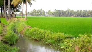 East Godavari Yatra - A Travelog about the lush and lovely land