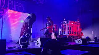 Skinny Puppy in Houston song Tormentor