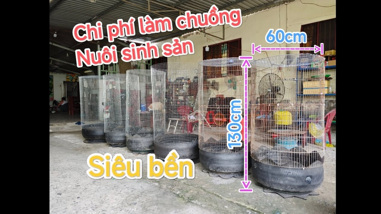 Aviary sinh sản | Chuồng nuôi chim cu gáy sinh sản.