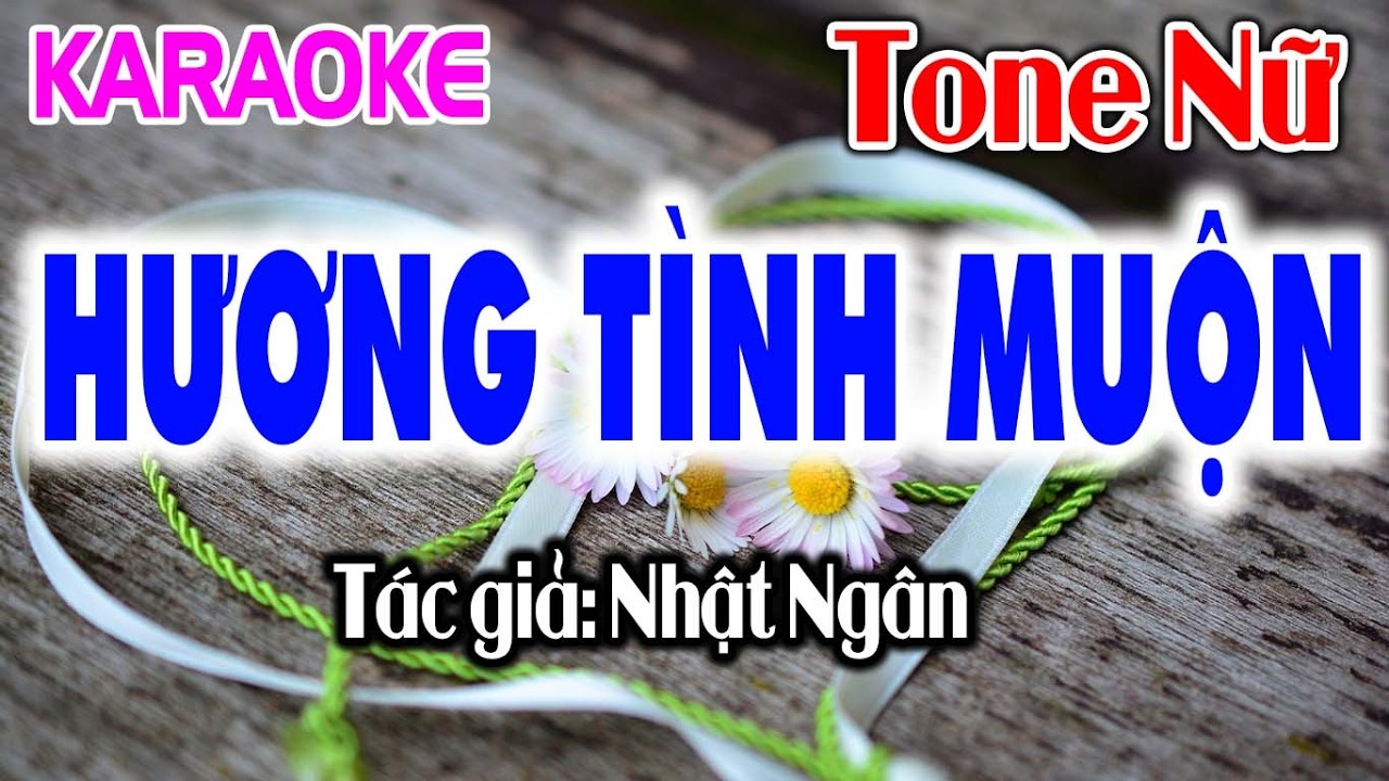 Karaoke Hương Tình Muộn Tone Nữ - Beat Dễ Hát - Tỷ Ngô Karaoke