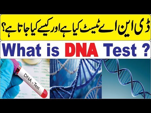 What is DNA Test ? Urdu | ڈی این اے ٹیسٹ کیسے کرتے ہیں