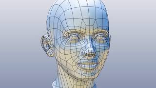 CAD model of female head F1P1D0V1head