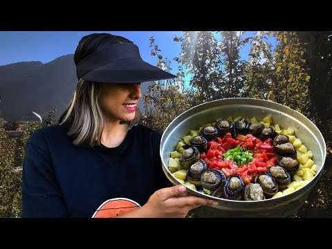 Video: Yuav Ua Li Cas Ua Noj Eggplant Nkoj Stuffed Nrog Bulgur