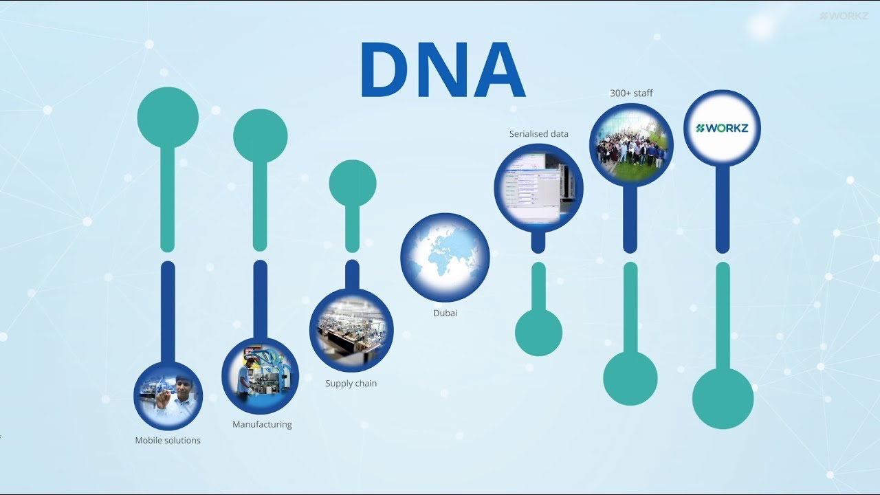 Workz Group - Our DNA 2018 (Prezi)