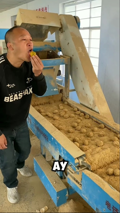 🍠😲 They're not potatoes, they're egg-shaped fruits! 🍈✨ #shorts