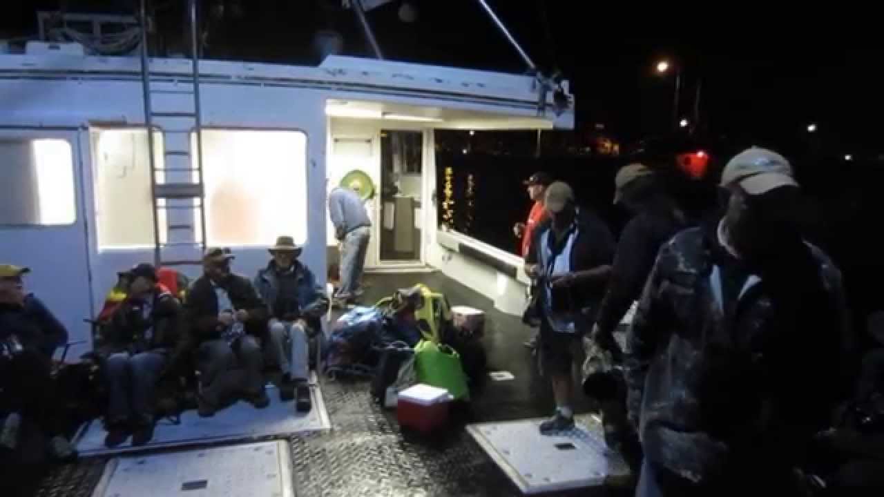 Pelagic Bird Trip 2014