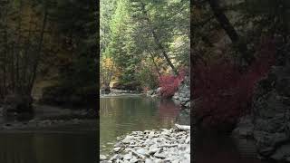 Judith River— Morning-Sundown