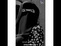 اجمل حالات وتس اب شلونك عيني شلونك