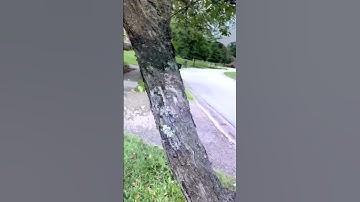 Day 16 of the worst transitions known to man #transition #glitch