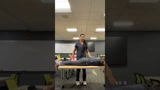 Larsaguzmancompetencylemp4