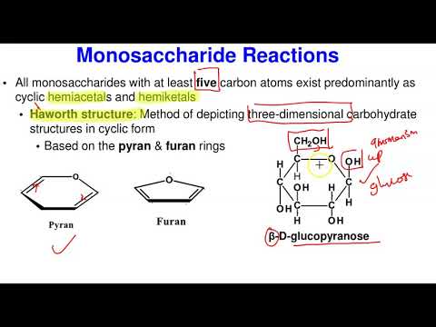 Monosaccharides: Structure & Functions