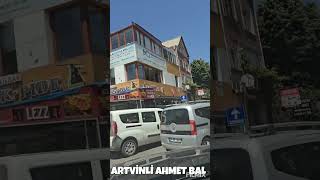 Artvinli Ahmet Bal (Erise dağların karı) Resimi