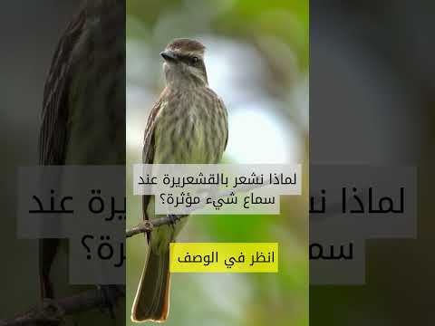 لماذا نشعر بالقشعريرة عند سماع شيء مؤثر