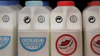 Download lagu A Love Story In Milk A Love Story In Milk