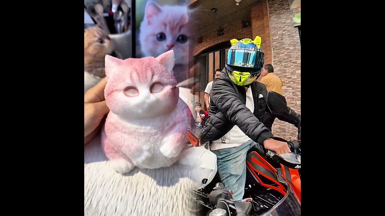 Así se PELEAN los verdaderos onvres 