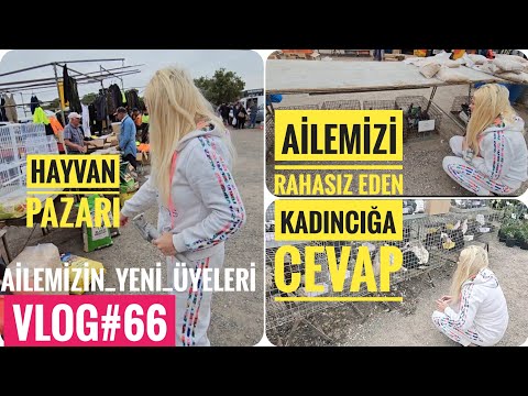 Video: Xaç markaları: xüsusiyyətləri, növləri, təsviri