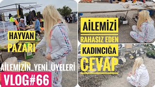 Gurbetçi Ailemiz Artık YENİ ÜYELERE Sahip!! 🤔 VLOG 66'da Hayvan Pazarı