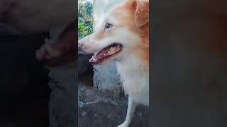 Taisy Daily Routine