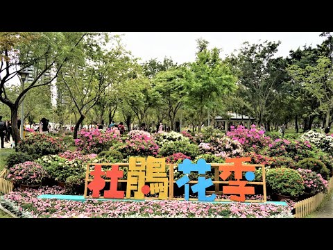 #台北大安森林公園/2021#杜鵑花季-第二集