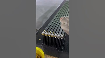 Super Slide Saigang Mesh Folding Screen Door Hardware Accessories # Qiangning Doors and Windows