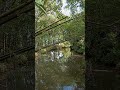 The Pond