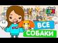 СОБИРАЮ ВСЕХ СОБАК в Тока Бока 🐕 Toca Life world