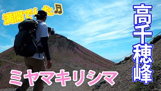 【登山】ミヤマキリシマが咲く高千穂峰に登って来ました