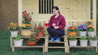 Download Lagu A homeless woman revives a neglected farm after acquiring it.| ly tư Yên| MP3