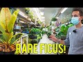 How This AMAZING Nursery Made A Comeback.. STORE TOUR!