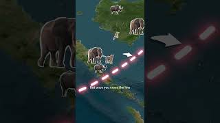Wallace Line: Earth's Invisible Wildlife Boundary