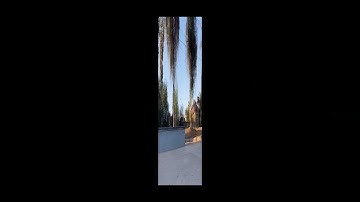 Frontside noseslide 270 out