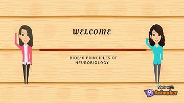 Declarative and non declarative memory