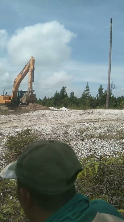 exafator tambang emas #ayang #cintatanpakarenanunadandipta #storywa #dangdut #lucu #viral