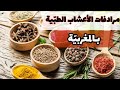 مرادفات أسماء الاعشاب الطبية باللهجة المغربية