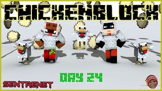 ChickenBlock Day 24 @fizzcannon3056