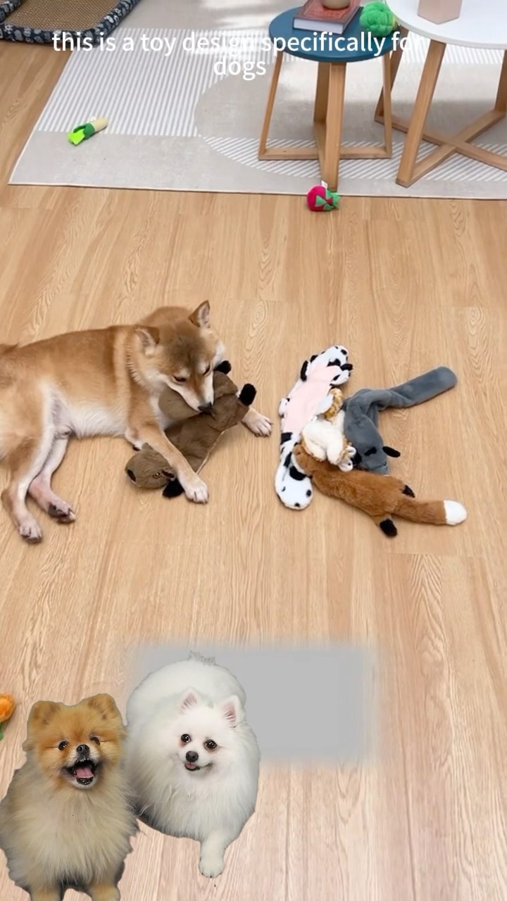 Wow,good toys ? #dogmom #pets #dogproducts #doglife #dogfriendly #cutedog #dogessentials