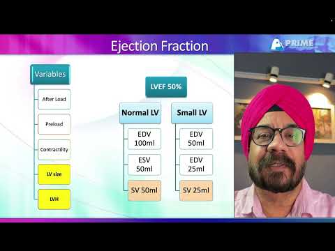 LV Systolic Function Made EASY! 🫀 | Echo Basics you Must Know