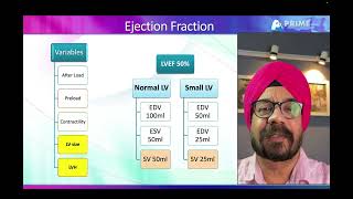 LV Systolic Function Made EASY! 🫀 | Echo Basics you Must Know