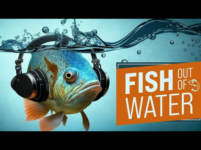 Watch Silversun Pickups - Panic Switch Reaction (FOOW) on YouTube Watch Silversun Pickups - Panic Switch Reaction (FOOW) on YouTube