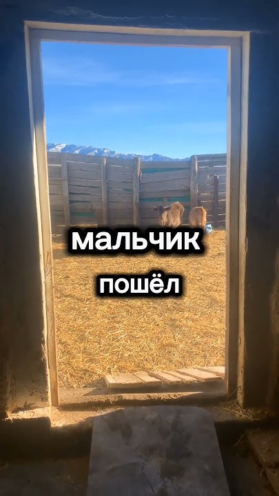 Из Серии "Маленький Мальчик...🤣 , про Туалет #shortsvideo #чёрныйюмор # ...
